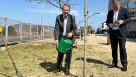Abel Caballero plantando un árbol en la Vía Verde.