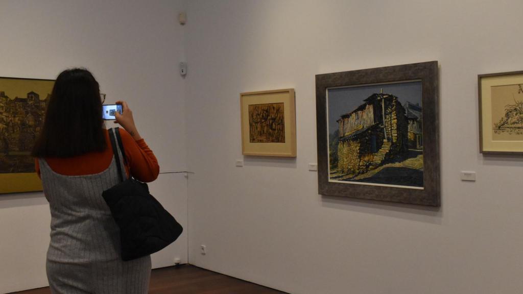 Exposición de Antonio Pedrero en el Museo de Zamora