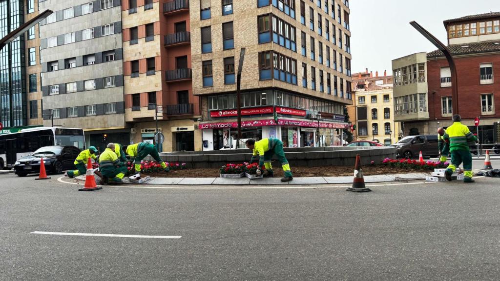 Reposición de la decoración floral en Zamora tras la granizada