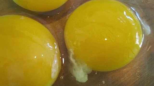 Dos yemas de huevo donde se aprecia con facilidad la chalaza.
