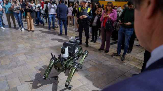 Perro policía robotizado para la Policía Local de Málaga.