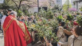 Tradicional bendición de ramos de la Cofradía de Dolores