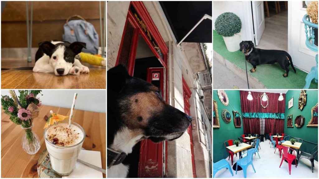 Locales dog friendly en Vigo.