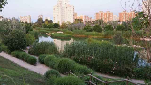 Parque La Marjal, Alicante, en una imagen de archivo. EE
