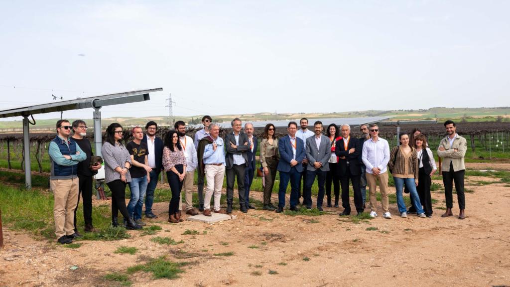 WineSolar de Iberdrola en Guadamur (Toledo). Foto: Javier Longobardo.