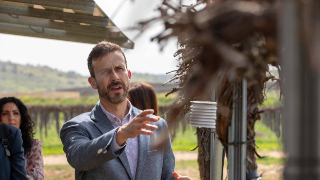 WineSolar de Iberdrola en Guadamur (Toledo). Foto: Javier Longobardo.