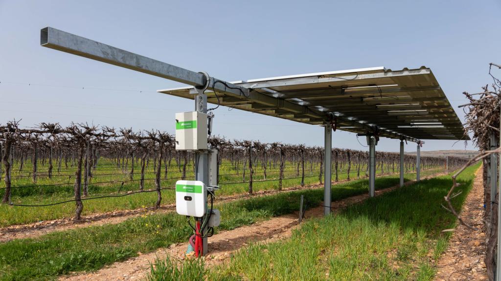 WineSolar de Iberdrola en Guadamur (Toledo). Foto: Javier Longobardo.