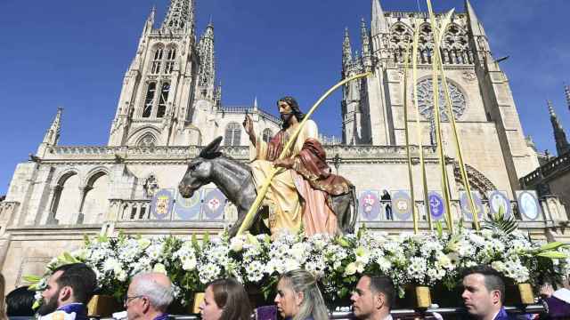 Procesión del Domingo de Ramos en Burgos
