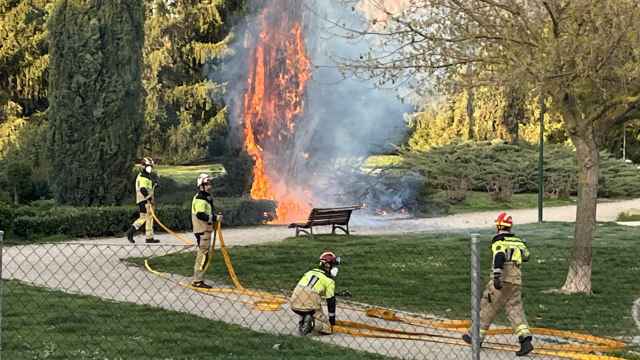 Los bomberos sofocan un fuego en un árbol de Villa del Prado