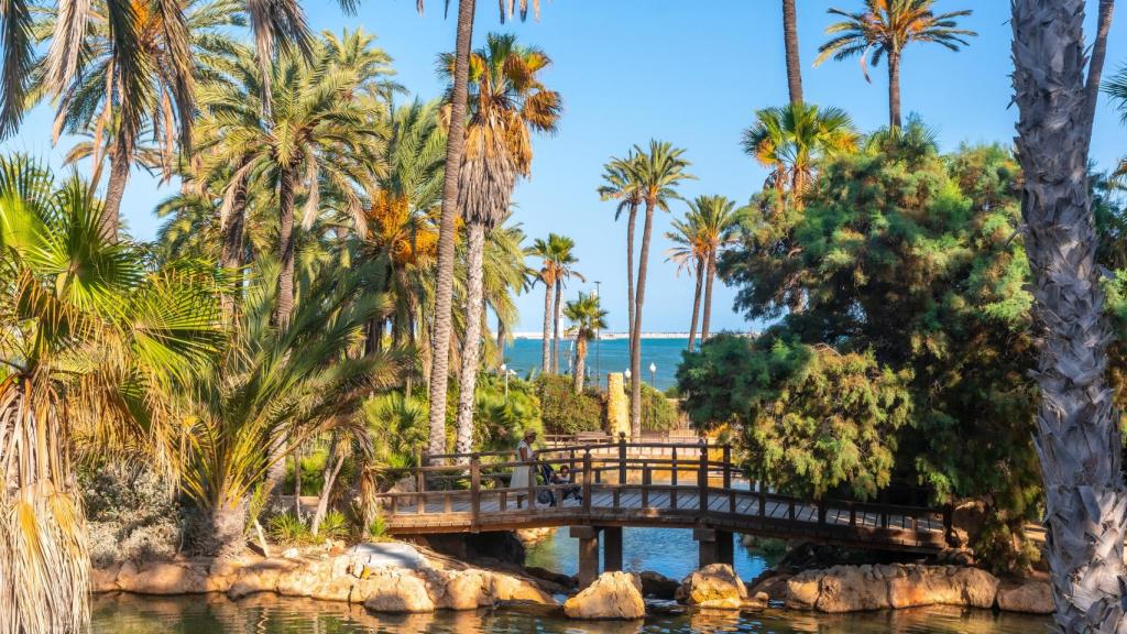 El Palmeral, Alicante.