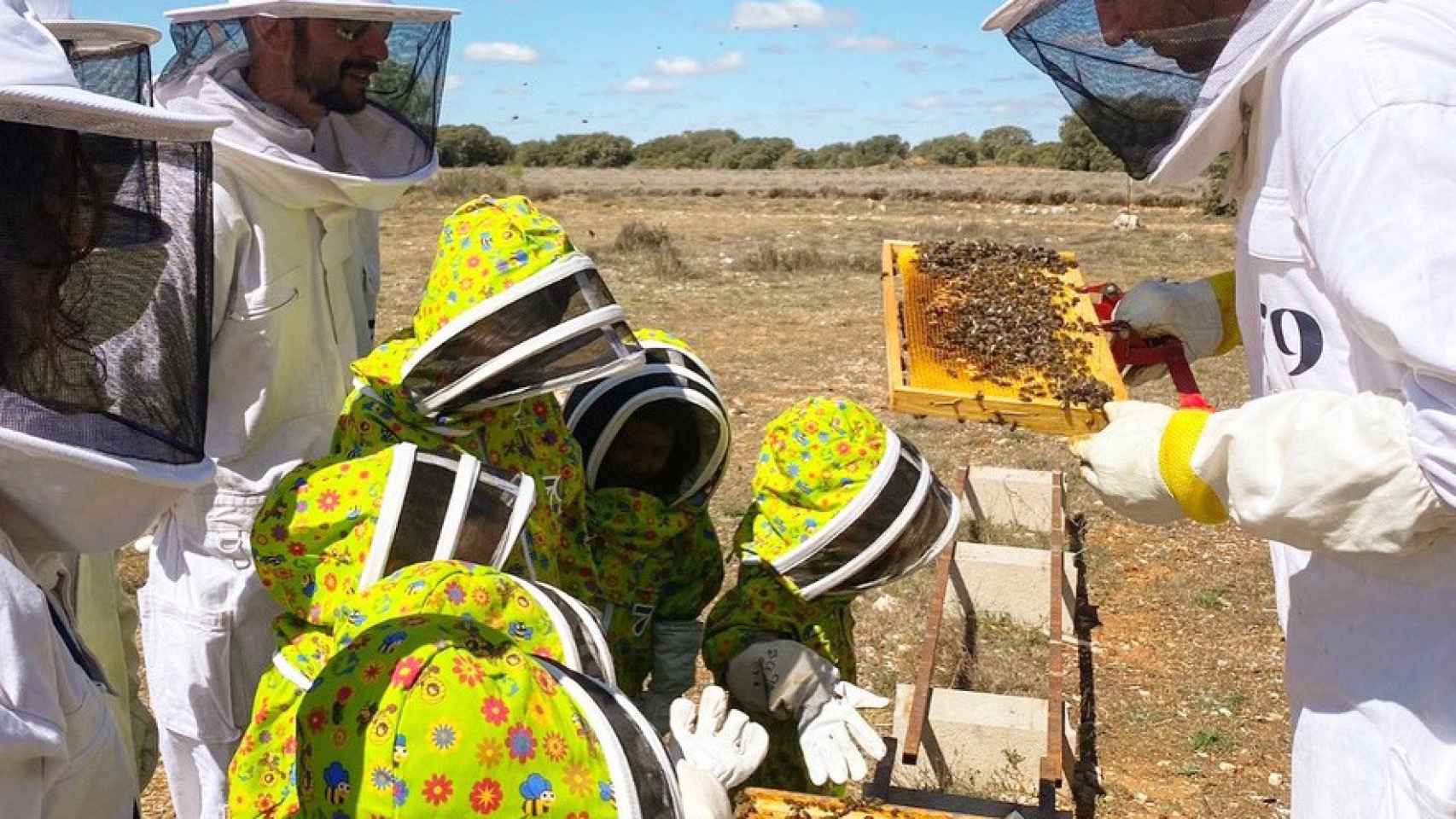 Los niños disfrutan conociendo más sobre la vida de las abejas