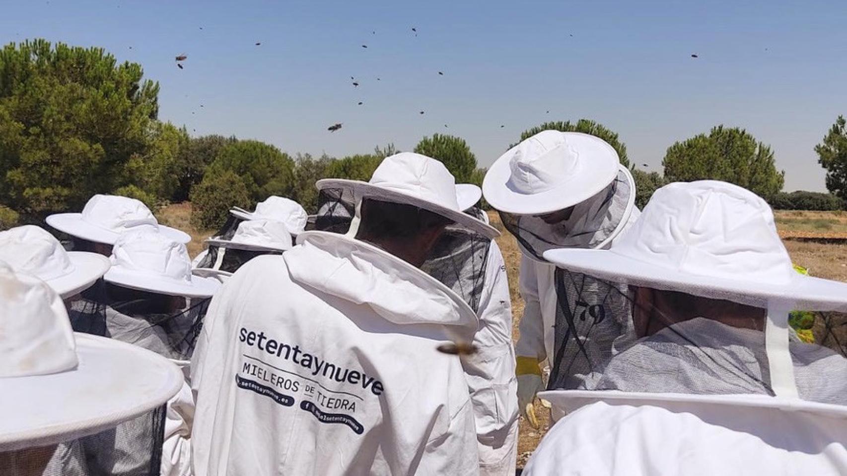 Una actividad con la apicultura como protagonista