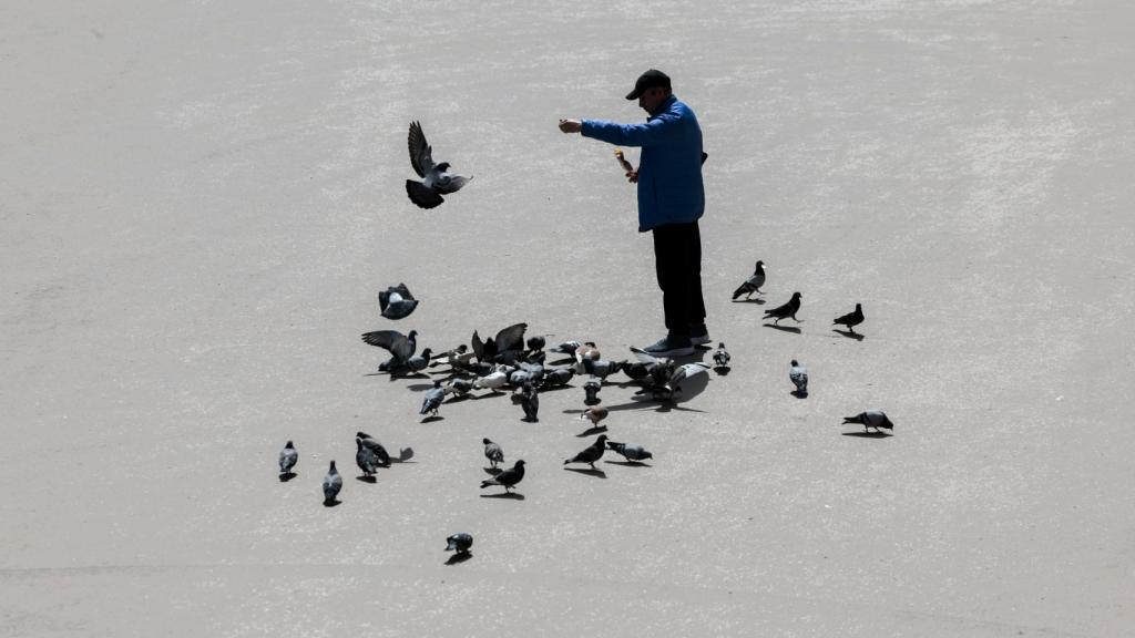 Una soleada plaza de Valencia, este martes.