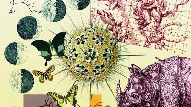 Collage formado por el árbol de la vida de Charles Darwin, las fases de la luna de Galileo, el corte axial de la retina de Ramón y Cajal,  las mariposas de George Cuvier, las formas de Ernest Haeckel, el rinoceronte de Durero para Gessner y la supernova de Kepler
