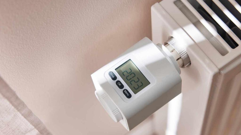 Termostato para radiador