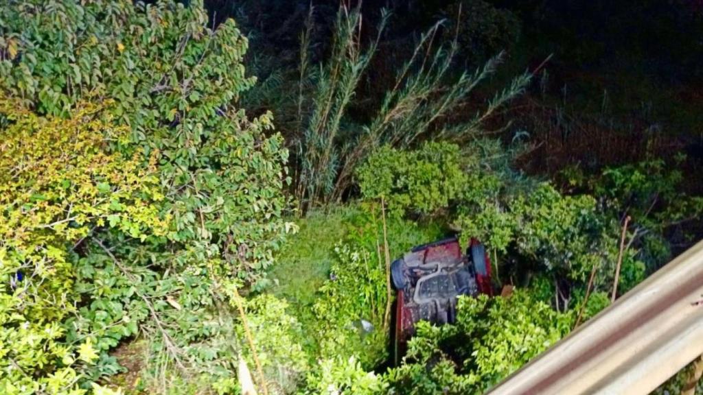 Imagen del coche precipitado por un desnivel de 5 metros.