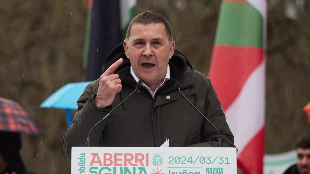 Arnaldo Otegi, durante el acto celebrado este domingo por Bildu en Pamplona con motivo del 'Aberri Eguna'.