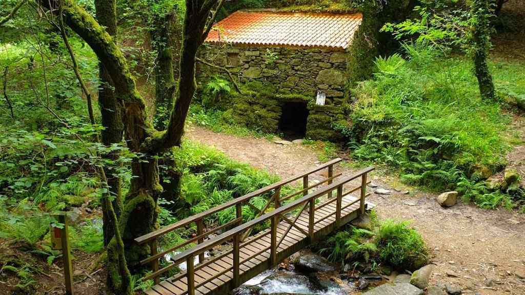 Senda del río Eifonso, Vigo.