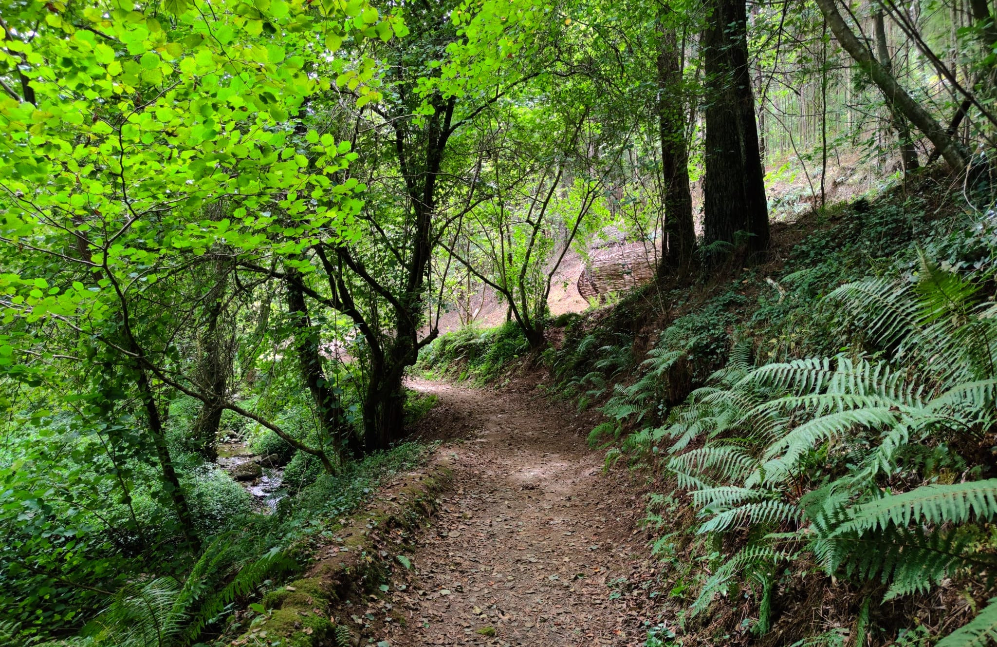 Senda del río Eifonso, Vigo. Foto: Turismo de Galicia