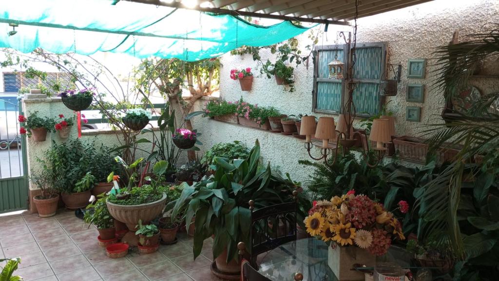 El patio delantero de la casa de Julio está lleno de flores y plantas.