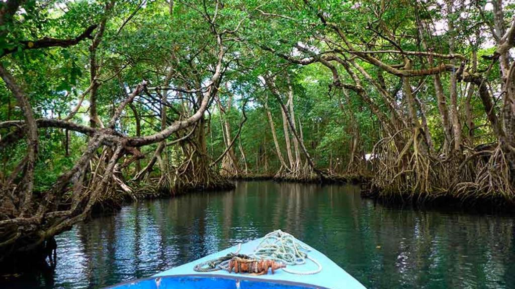 Laguna Gri Gri, en Río San Juan.
