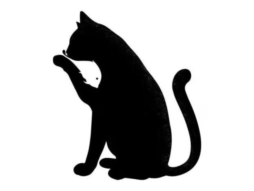 TEST VISUAL | Dos animales se ocultan en esta ilusión óptica.