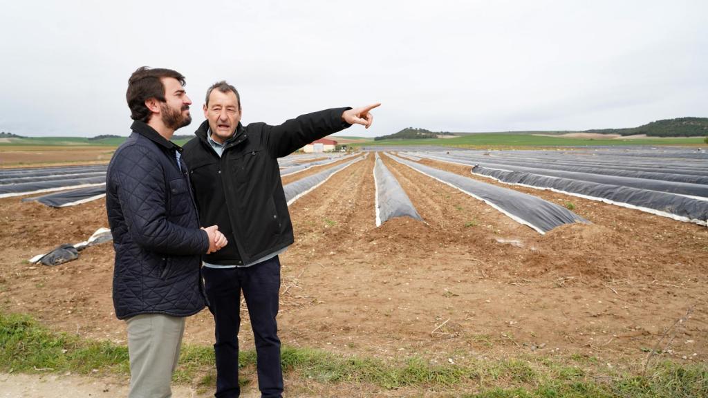 El vicepresidente de la Junta, Juan García-Gallardo, durante su visita de este martes a una huerta de espárragos en el municipio vallisoletano de Tudela de Duero.