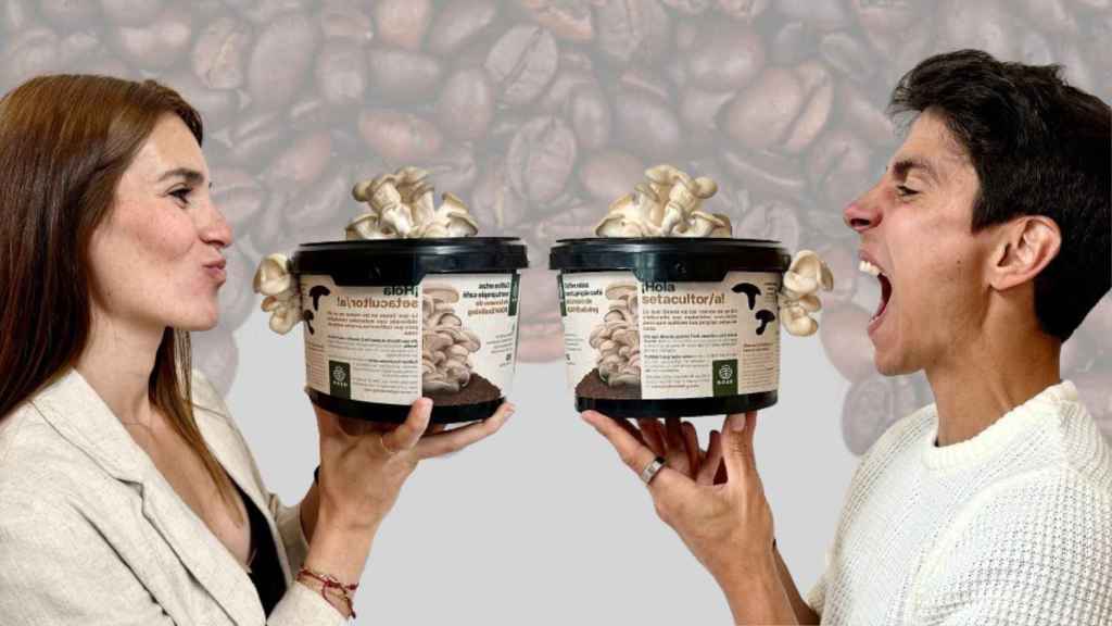 Proteína alternativa a partir de lo que tiramos: la 'startup' española que reutiliza posos del café para cultivar setas