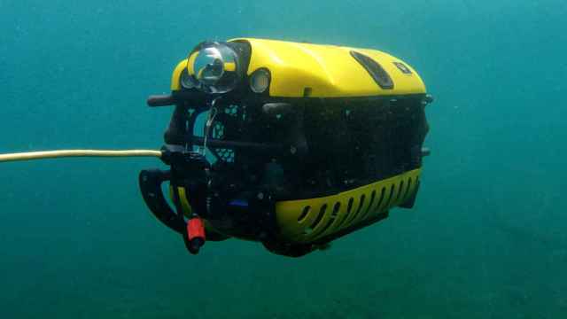 Robot subacuático Tortuga