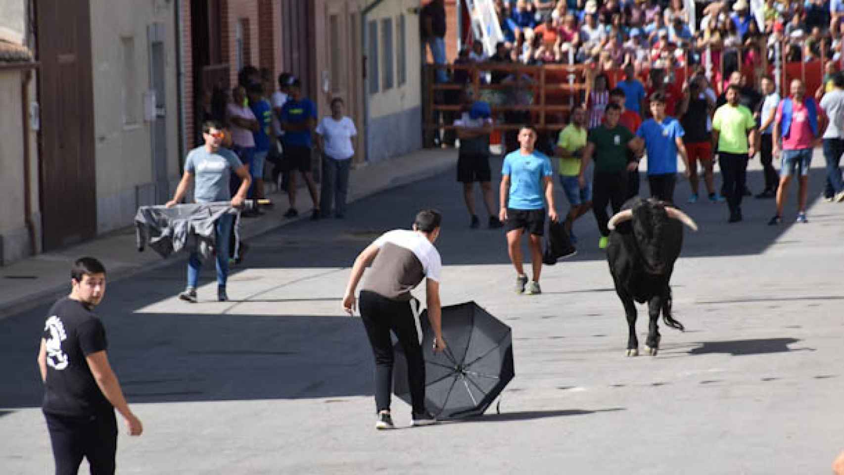 Los toros, parte esencial de la Fiesta del Voto en Villoria