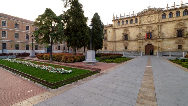 Universidad de Alcalá (UAH).