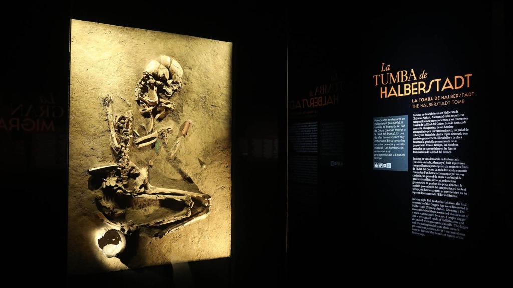 La exposición 'Dinastías' recibe más de 3.000 visitas en las jornadas de puertas abiertas del MARQ