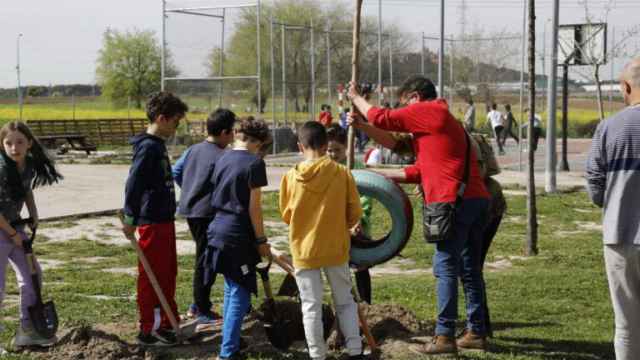 Momento en el que varios alumnos plantan un árbol en su colegio.