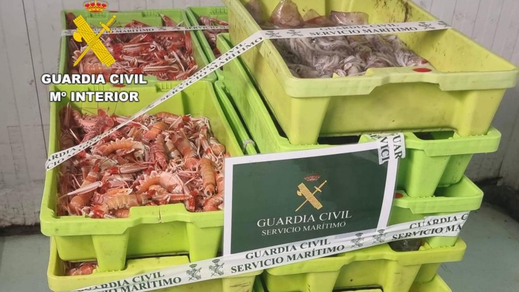 Investigados dos varones en A Coruña por capturar más de 100 kilos de cigala en zona prohibida