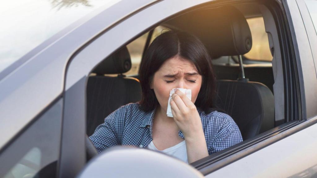 ¿Vives en Galicia y tienes alergia? Sigue estos consejos de la DGT si vas al volante