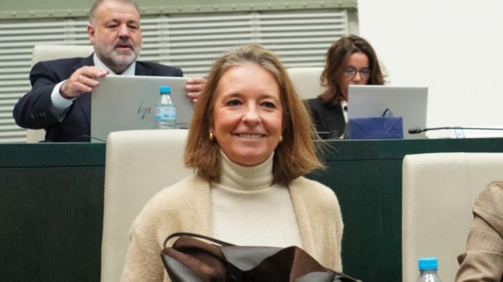 Cayetana Hernández de la Riva, concejal-presidente del distrito de Salamanca.