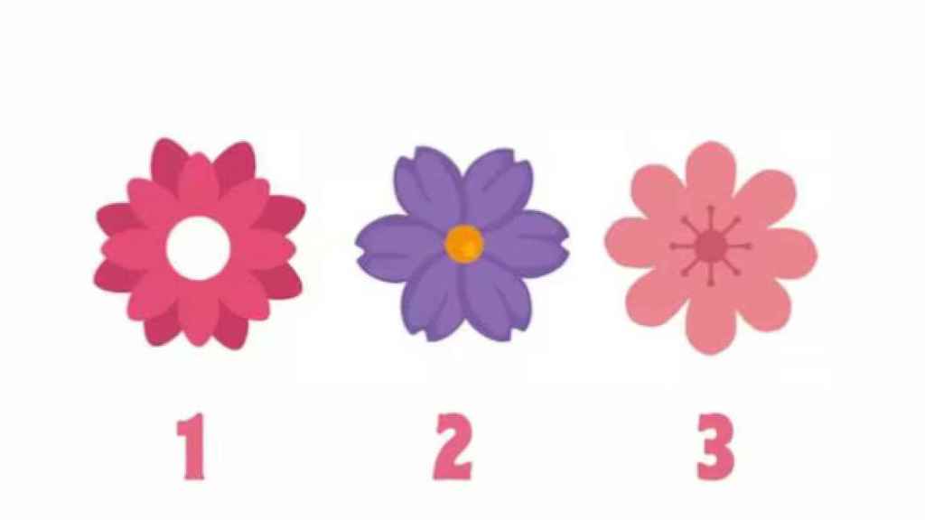TEST VISUAL | Cada flor contiene un mensaje especial que te dejará sorprendido.