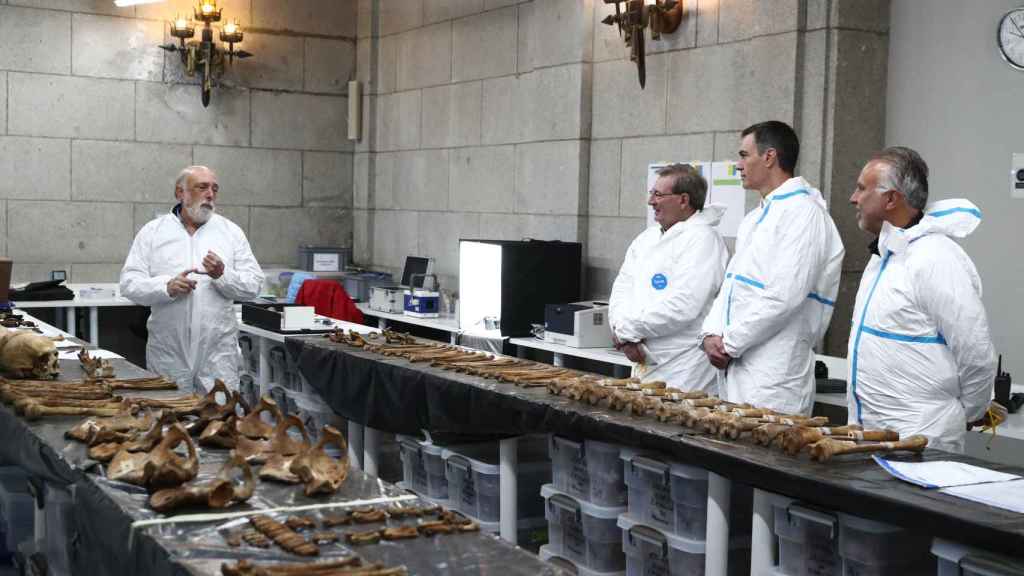 El presidente Pedro Sánchez examina los restos exhumados de la cripta del Valle de los Caídos.