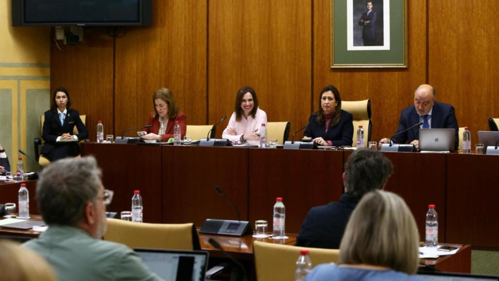 La consejera de Fomento, Rocío Díaz, en el Parlamento andaluz.