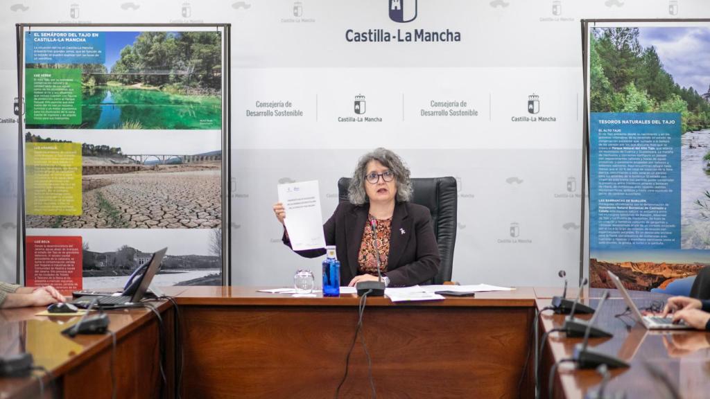 Mercedes Gómez durante su rueda de prensa