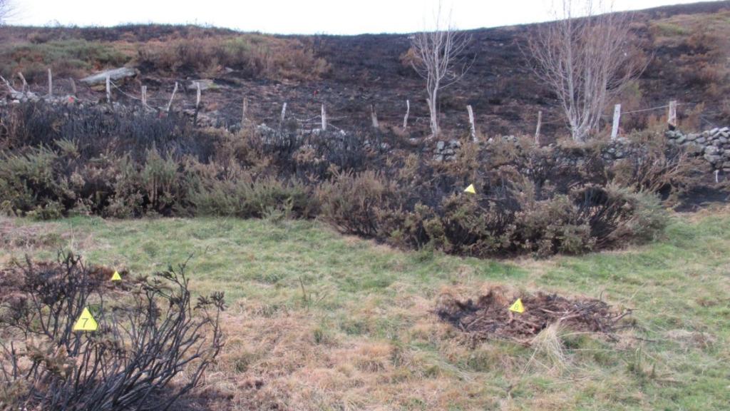 Estado del paraje de Rioseco, perteneciente al término municipal de Espinosa de los Monteros, tras el incendio forestal