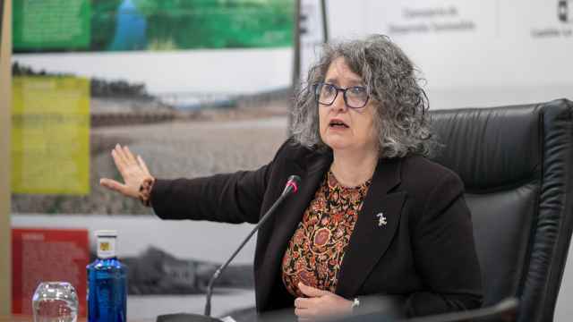 Mercedes Gomez, consejera de Desarrollo Sostenible de Castilla-La Mancha, este viernes en rueda de prensa