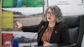 Mercedes Gomez, consejera de Desarrollo Sostenible de Castilla-La Mancha, este viernes en rueda de prensa