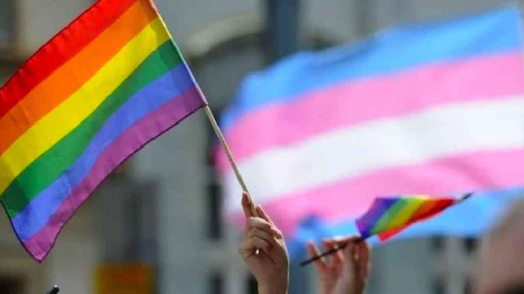 Banderas LGTBI y trans en una manifestación.