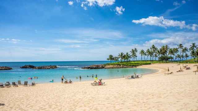 Hawai es un paraíso acuático con arrecifes de coral exóticos, aguas cristalinas y  diversas de especies marinas