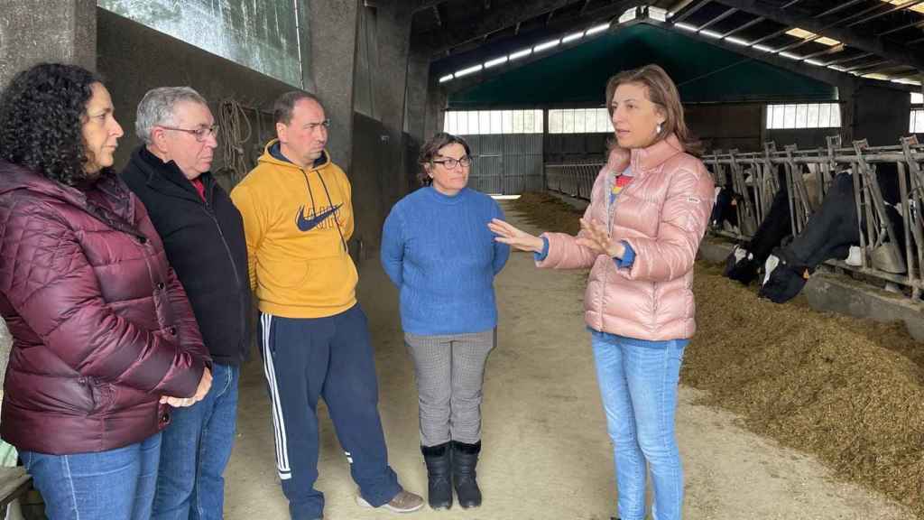La vicepresidenta segunda en funciones, Ángeles Vázquez, visita una explotación en A Pastoriza (Lugo).