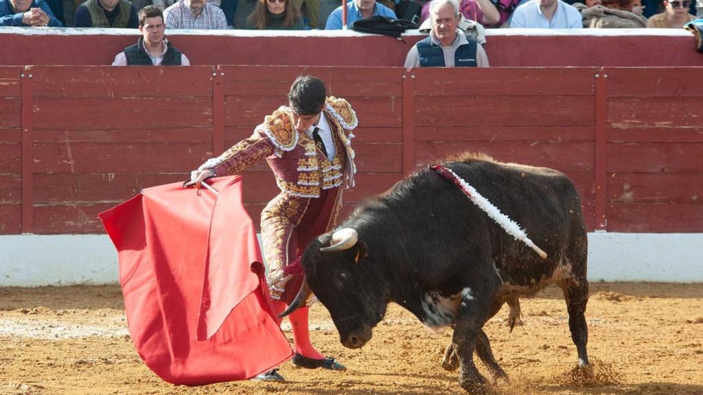 Pedro Andrés doblándose con el de Núñez del Cuvillo