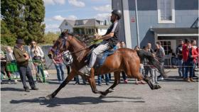 Más de un 1.000 personas celebran en Cerdido (A Coruña) la XXX Feria del Caballo de A Barqueira