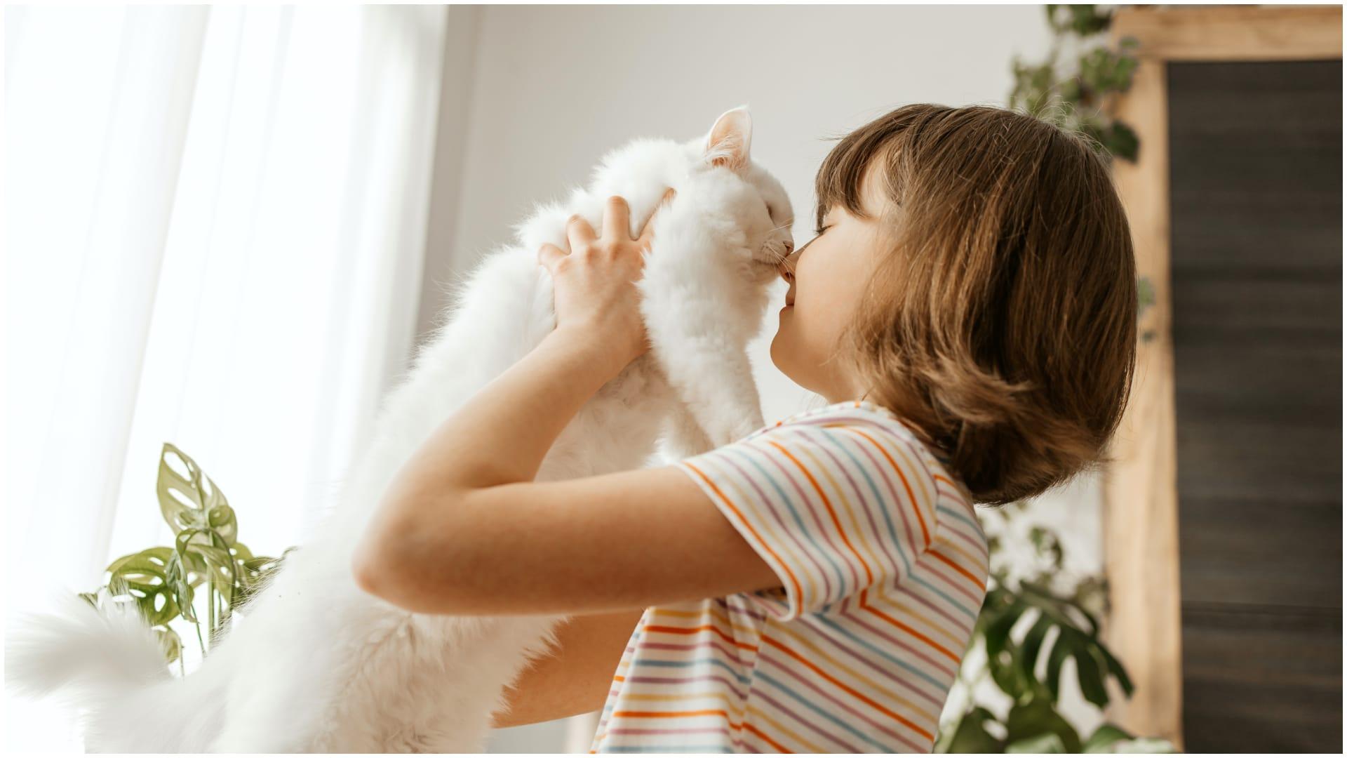 Una niña coge a su gato en brazos (Shutterstock)