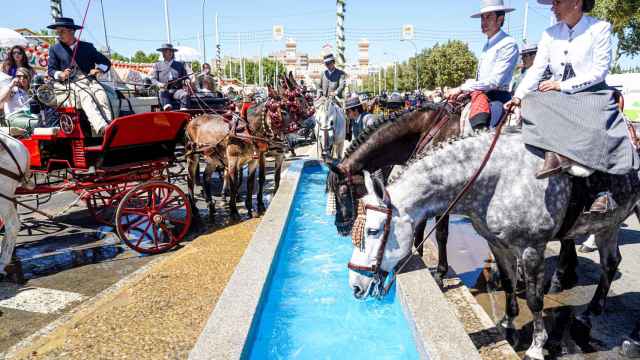Caballos beben aguas en el abrevadero de Antonio Bienvenida en la Feria de Abril 2023.